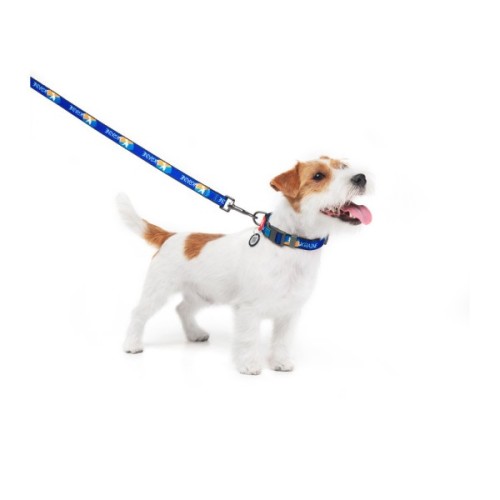 Повідець для собак WAUDOG Nylon "Прапор" S 15 мм х 122 см (4915-0229)