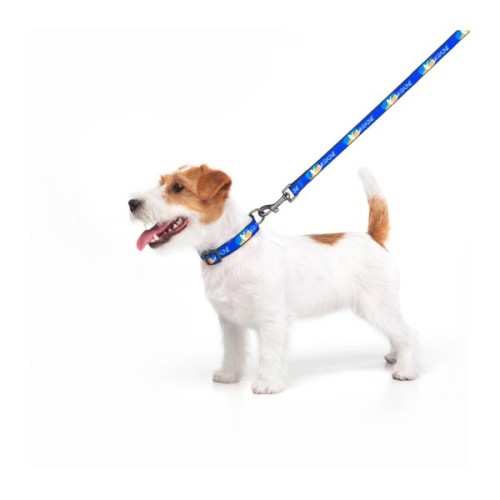 Повідець для собак WAUDOG Nylon "Прапор" S 15 мм х 122 см (4915-0229)