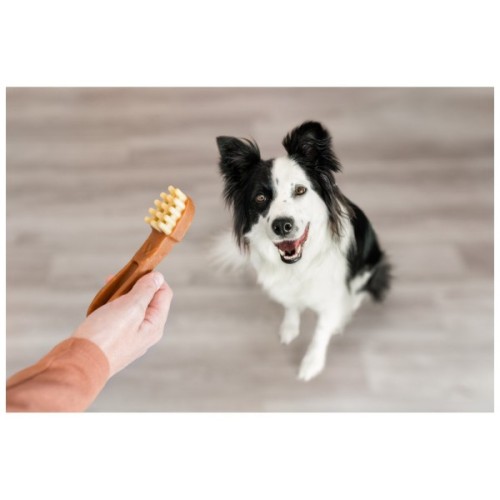 Ласощі для собак Whimzees Toothbrush M 12 шт (8718627750674)