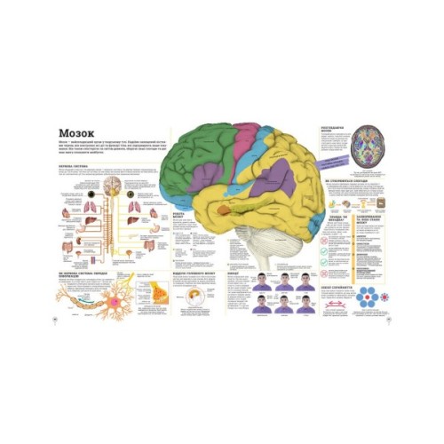 Книга Дивипедія Ранок (9786170992376)