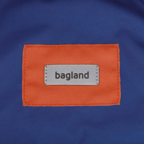 Рюкзак для ноутбука Bagland 15.6" Stylish L 24L electric 0051869 (1119120722)