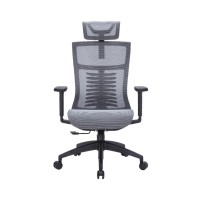 Офісне крісло OfficePro Balance OC620-B-DG-DG (OC620-B-DG-DG)