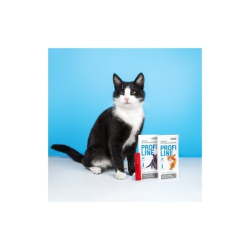 Краплі для тварин ProVET Profiline інсектоакарицид для котів 4-8 кг 4/1 мл (4823082431106)