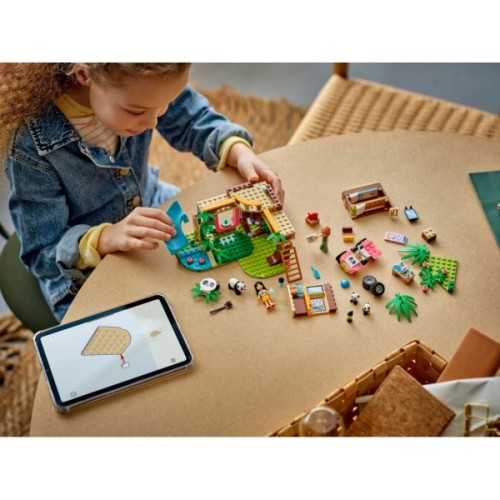 Конструктор LEGO Friends Догляд за тваринами в заповіднику панд (42648)