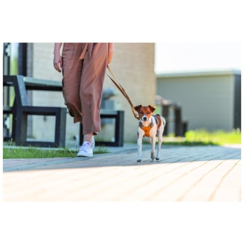 Повідець для собак Trixie Premium регульований XS-S 2 м 15 мм оранжевий (4053032671645)