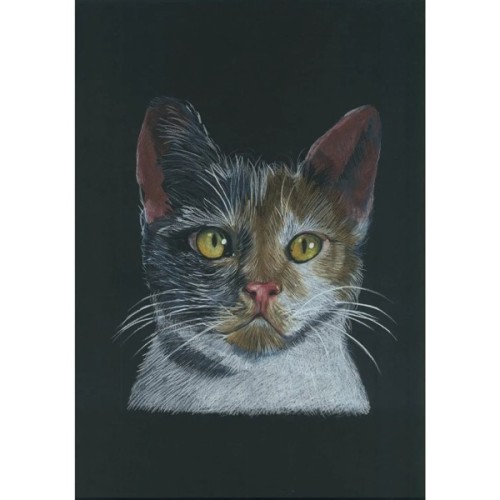 Олівці кольорові Cretacolor THE AQUARINO BOX водорозчинних 24 кольори (9014400325213)