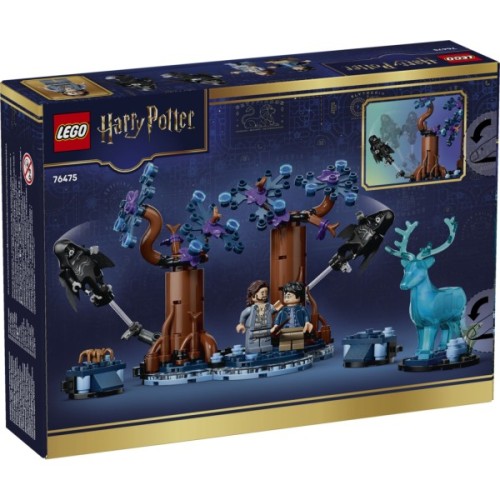 Конструктор LEGO Harry Potter Заборонений ліс: Експекто патронум (76475)