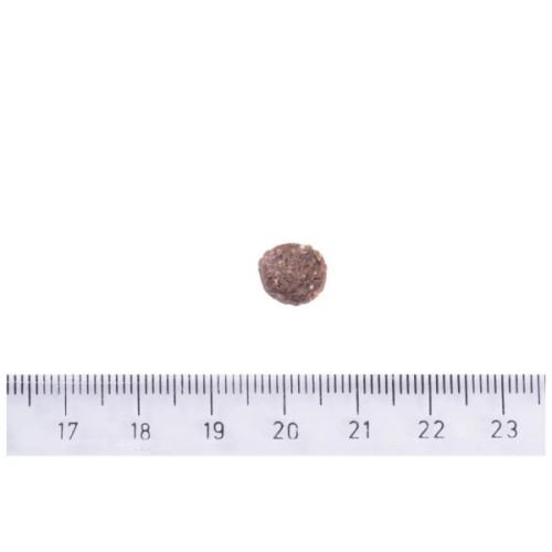 Сухий корм для собак Brit Care Dog Sustainable Activity для собак з підвищеною активністю 12 кг (8595602559220)