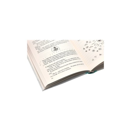 Книга Суперліто. Книга 3 - Ніна Елізабет Ґрьонтведт Видавництво Старого Лева (9786176792758)