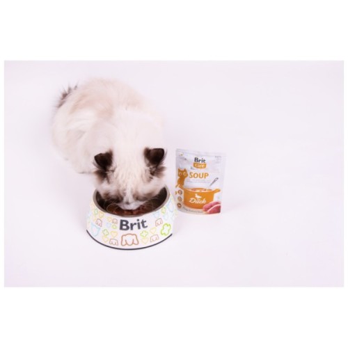 Вологий корм для кішок Brit Care Soup with Duck з качкою 75 г (8595602569182)