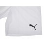 Шорти Puma teamRISE Short 704942-03 білий L (4063699209068)