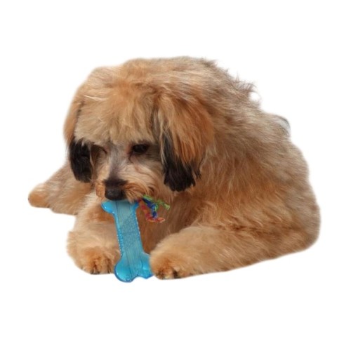 Іграшка для собак Petstages Кісточка 12 см (0871864002215)