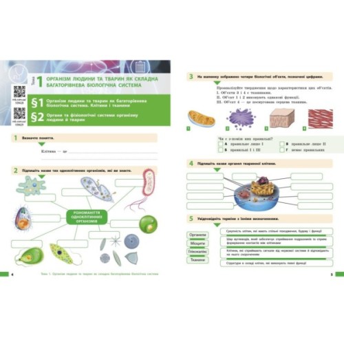 Робочий зошит Біологія. Для 8 класу ЗЗСО - О.В. Тагліна, А.М. Самойлов, Л.В. Довгаль Ранок (9786170998200)