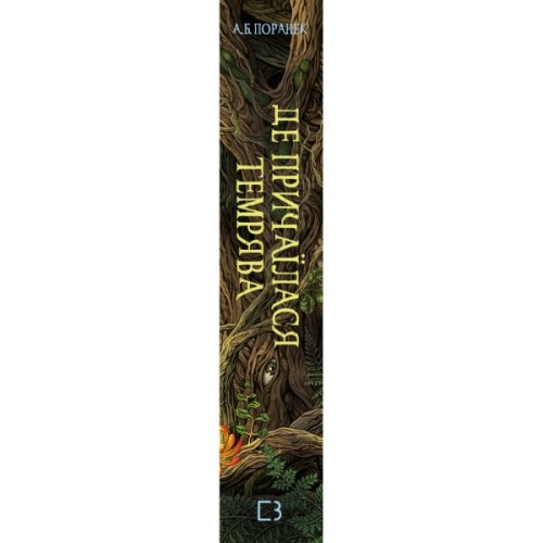 Книга Де причаїлася темрява - А.Б. Поранек BookChef (9786175484838)