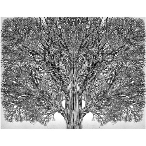 Книга Єдиний Істинний король. Книга 6. Школа Добра і Зла - Зоман Чейнані Ранок (9786170972545)