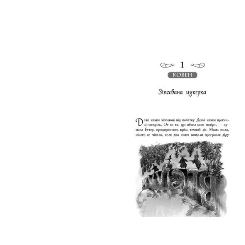 Книга Єдиний Істинний король. Книга 6. Школа Добра і Зла - Зоман Чейнані Ранок (9786170972545)
