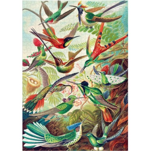 Пазл GoodLoot Imagination: Ernst Haeckel Hummingbirds/Kolibry 1000 елементів (5908305246794)