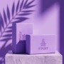 Блок для йоги Fitpaddy 2шт Фіолетові (BLOCK01VL)