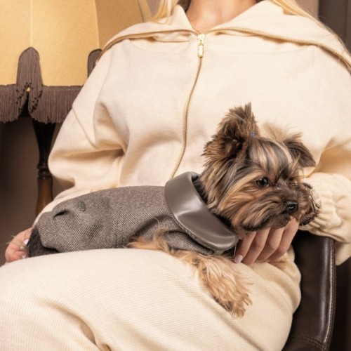 Жилет для тварин Pet Fashion Harry XS2 (4823082430109)