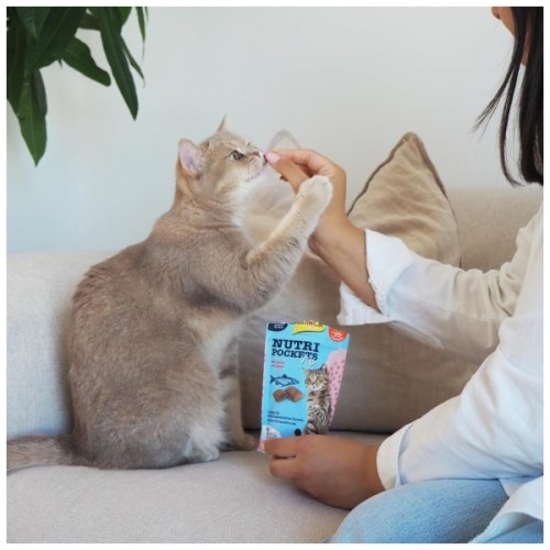 Ласощі для котів GimCat Nutri Pockets Fish Лосось 60 г (4002064419626)