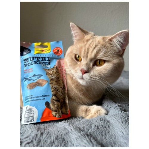 Ласощі для котів GimCat Nutri Pockets Fish Лосось 60 г (4002064419626)