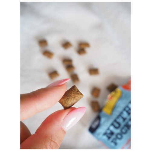 Ласощі для котів GimCat Nutri Pockets Fish Лосось 60 г (4002064419626)