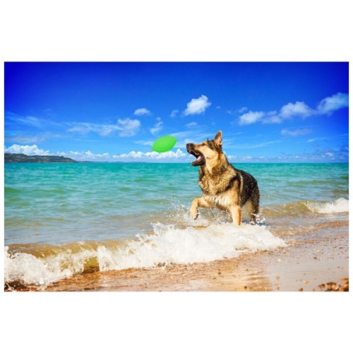 Іграшка для собак Collar PitchDog м'яч для апорту d:9 см салатовий (62415)