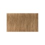 Фарба для волосся Indola Permanent Caring Color 7.03 - Середній натуральний блонд золотистий (4045787932980)