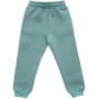 Штани дитячі Cloise спортивні на флісі (CL0154012-128-mint)