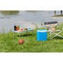 Термобокс Campingaz Icetime Plus 30L (87173)