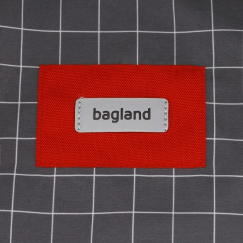 Рюкзак для ноутбука Bagland 17" Stylish XL 35L+print, gray 1339/00558694 (1120220801)