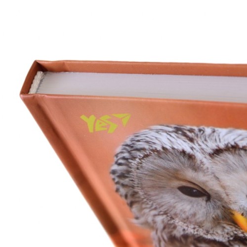 Блокнот Yes 140 * 185/96 л "Wild force" лінія (151483)