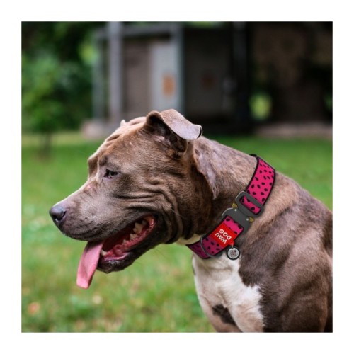 Нашийник для тварин WAUDOG Nylon з QR паспортом "Кавун" металева пряжка-фастекс XXL (4535-0049)