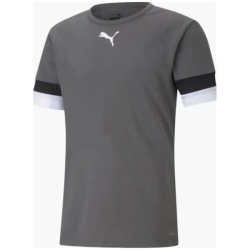 Футболка Puma teamRISE Jersey 704932-13 сірий S (4063699213270)