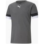 Футболка Puma teamRISE Jersey 704932-13 сірий S (4063699213270)