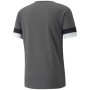 Футболка Puma teamRISE Jersey 704932-13 сірий S (4063699213270)