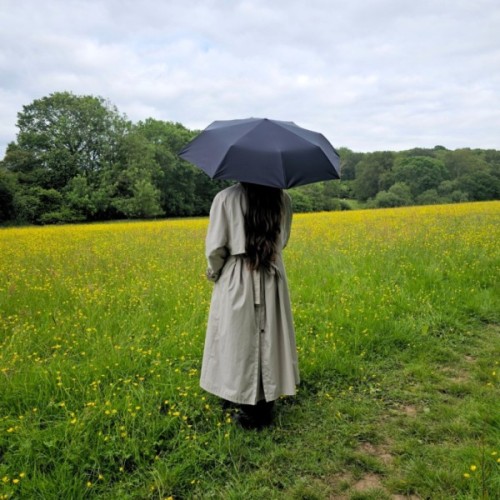 Парасоля Fulton Open&Close-3 L345 Black (L345-000175)