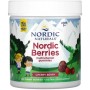 Вітамінно-мінеральний комплекс Nordic Naturals Мультивітаміни для дітей, смак вишні, Nordic Berries, Multivitamin Gu (NOR-30126)