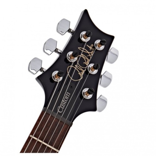 Електрогітара PRS S2 Custom 24 Whale Blue