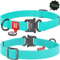 Нашийник для тварин WAUDOG Waterproof з QR металічна пряжка-фастекс Ш 25 мм Д 38-58 см ментоловий (2783)