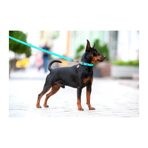 Нашийник для тварин WAUDOG Waterproof з QR металічна пряжка-фастекс Ш 25 мм Д 38-58 см ментоловий (2783)