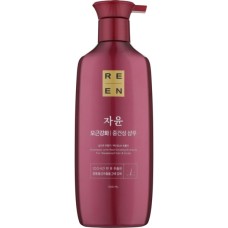 Шампунь LG ReEn Jayun Hair Shine Shampoo Для блису волосся 500 мл (8801051159905)