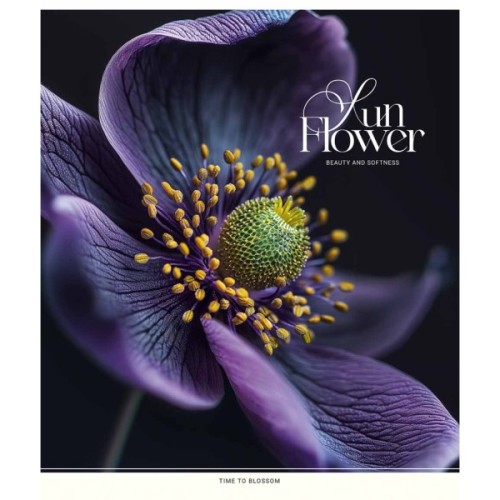 Зошит Школярик Sun Flower 60 аркушів клітинка (060-3456K)