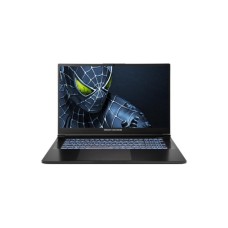 Ноутбук Dream Machines RG5050-17 (RG5050-17UA25)