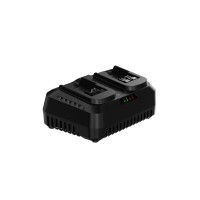 Зарядний пристрій для акумуляторів інструменту Deli на 2 акумулятори, 20V, 4A (DE-CD20D4)