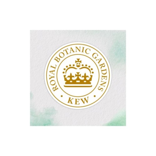 Кондиціонер для волосся Herbal Essences Апельсин Для об'єму волосся 250 мл (8700216210317)