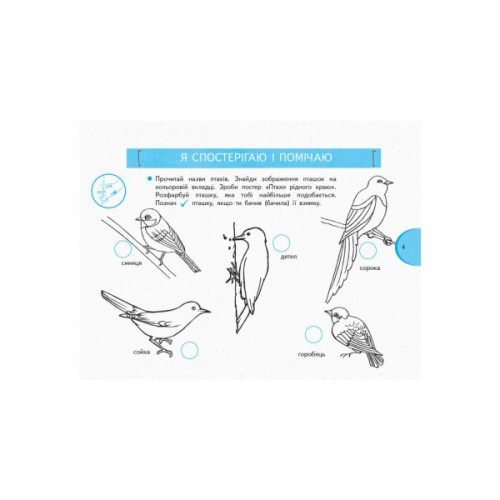 Робочий зошит НУШ Я досліджую світ. 1 клас. У 2 частинах. Частина 2 - О.В. Тагліна, Г.Ж. Іванова Ранок (9786170949806)