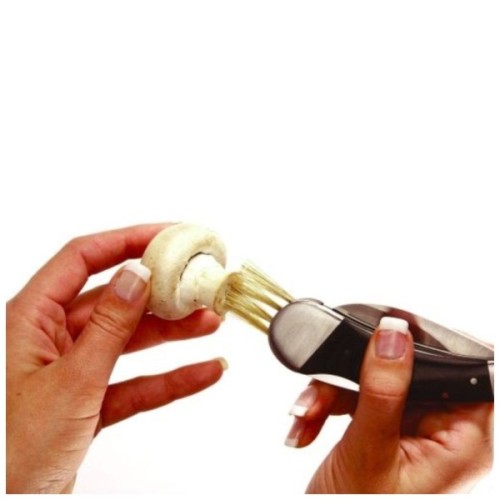 Ніж Schwarzwolf Pilz (F1900200SA3)