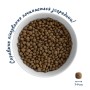 Сухий корм для собак Home Food ADULT MINI Low-grain For active adult and junior з ягням та рисом 10 кг (4820235020439)