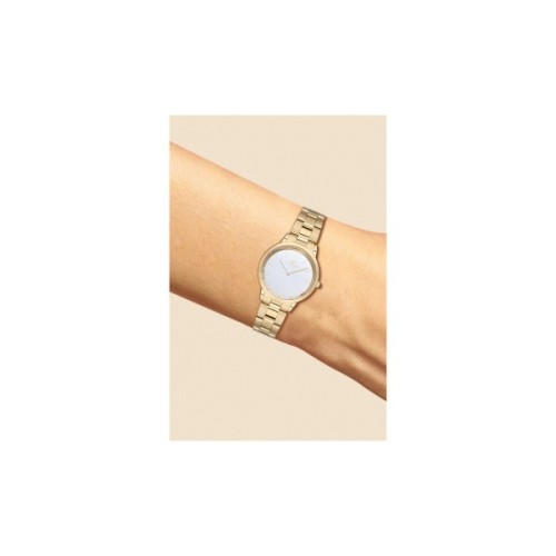 Наручний годинник Ferro F21124A-B